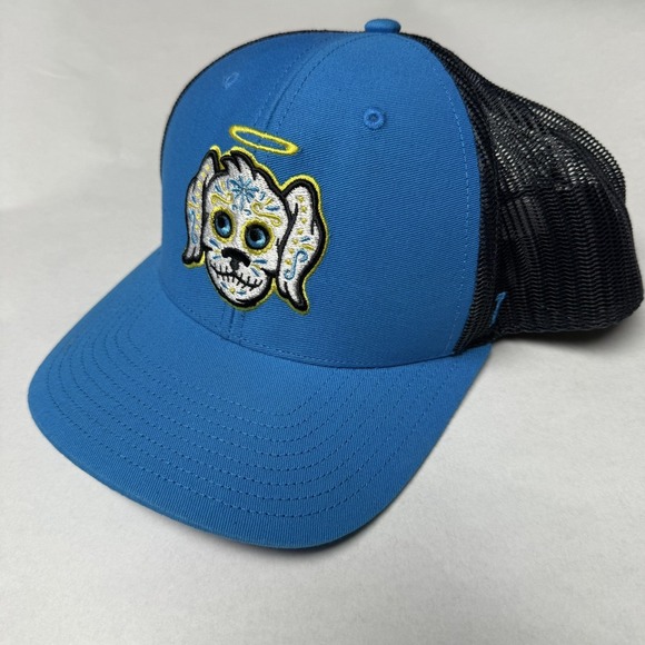 Charleston RiverDogs Hat Cap 47 Brand Adjustable Snap Trucker - Picture 1 of 6